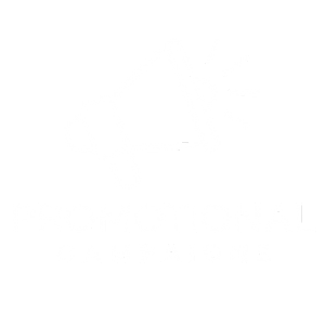 Promotional Campaigns​