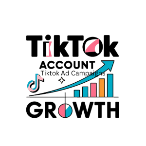 Tiktok Account Growth​