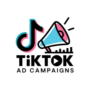 Tiktok Ad Campaigns​